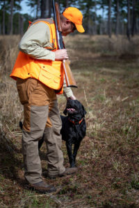 Quail hunting with dog at Dorchester